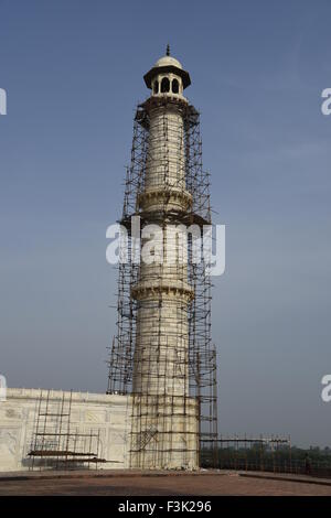 Taj Mahal white marble mausoleum pillar renovation Mughal architecture cleaning minar at southern bank  Yamuna River Agra India Stock Photo