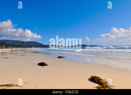 Sunlight reflecting on the sea the beach Stock Photo