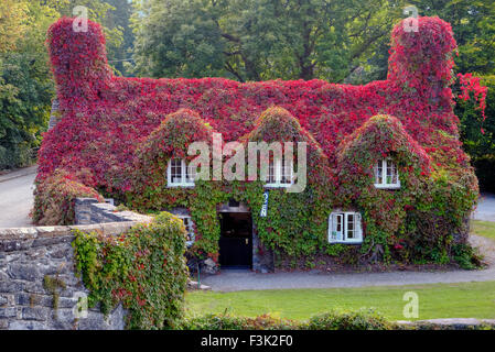 Tu Hwnt I'r Bont, Llanrwst, Wales, United Kingdom Stock Photo