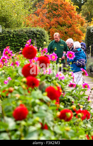 Leeds, UK. 08th Oct, 2015. After a week of wet weather the sun finally shone today highlighting the beautiful autumnal colours at Golden Acre park near Leeds, West Yorkshire.The large display of dahlia flowers looked particularly vibrant and were being enjoyed by visitors who were asking for gardening tips from the park keeper. Taken on the 8th October 2015. Credit:  Andrew Gardner/Alamy Live News