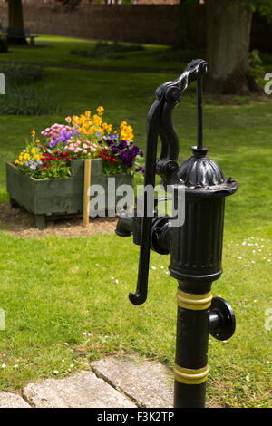 UK, England, Yorkshire East Riding, Market Weighton, St Helen’s Square, old cast iron water pump on green Stock Photo