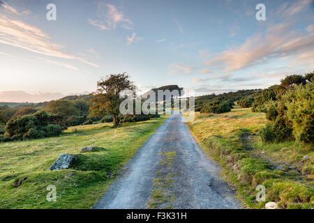A country lane running through Bodmin Moor in Cornwall Stock Photo