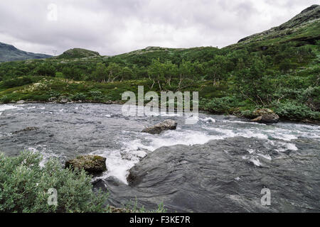 Urevassfjorden, Hol (Buskerod), Norway Stock Photo