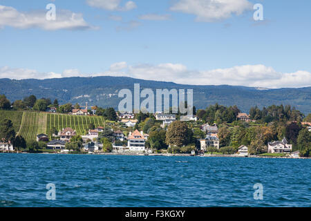 Shoreline of Lake Geneva at the northern end of Nyon, Canton Vaud, Switzerland Stock Photo