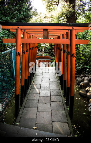 Hanazono Inari Shrine,Ueno Park,Taito-Ku,Tokyo,Japan Stock Photo
