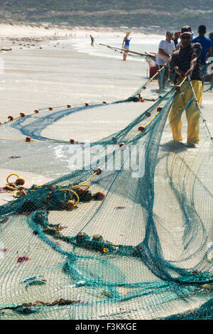 Trek fishermen surround their boat at the beach and pull up fishing nets on shore, Fishhoek Bay,  South Africa Stock Photo