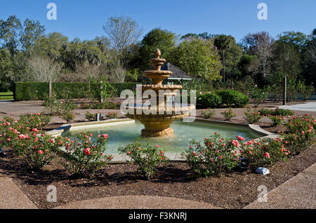 Fountain at the Harry P. Leu botanical gardens in Orlando, Florida.  Ornate fountains surrounded by rose bushes. February 2015 Stock Photo