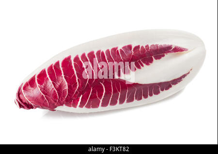 red chicory isolated on white Stock Photo
