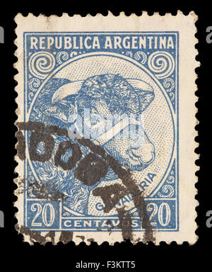 ARGENTINA - CIRCA 1951: A postage stamp printed in Argentina shows Bull and Cattle Breeding, circa 1951 Stock Photo