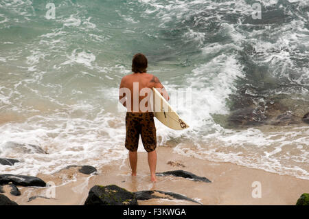 https://l450v.alamy.com/450v/f3kwga/surfer-in-hookipa-beach-maui-hawaii-surfer-jumping-into-the-water-f3kwga.jpg