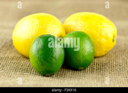 Lemon and limes on rustic background Stock Photo