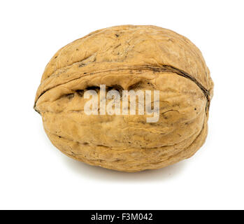 Macro closeup of unshelled walnut isolated on white Stock Photo