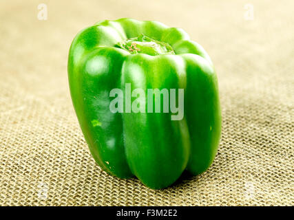 Hessian green pepper, organic Stock Photo