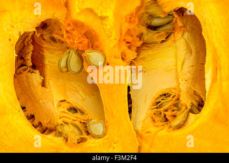 Background texture of inside of orange seeded pumpkin Stock Photo