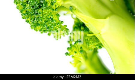 Extreme closeup of chopped broccoli isolated against white background Stock Photo