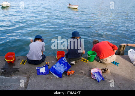 Fishing for crabs, Salcombe, South Devon, UK Stock Photo