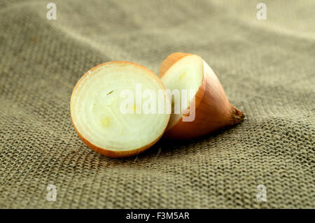 Onion cut in half Stock Photo