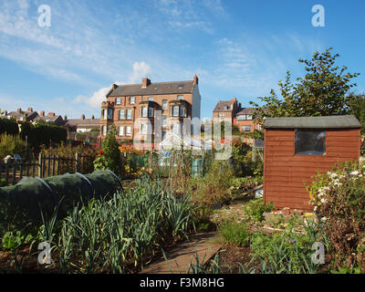 Newcastle Upon Tyne, UK. 9th October 2015. UK Weather: Autumnal landscape of dwellings and gardens bathe in the afternoon sunshine in the village of Tynemouth on the banks of the Tyne. Stock Photo