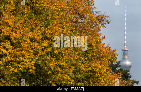 Berlin, Germany. 9th Oct, 2015. Autumnal coloured leaves line the Strasse des 17. Juni in Berlin, Germany, 9 October 2015. In the background the iconic TV tower is visible. Photo: BERND VON JUTRCZENKA/DPA/Alamy Live News Stock Photo