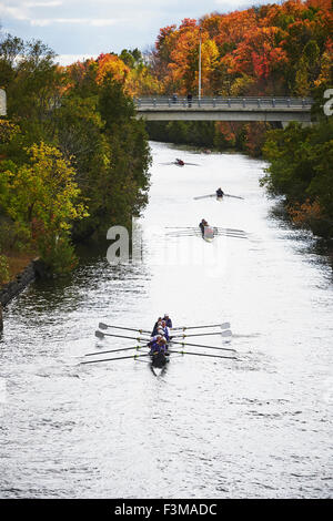 Racing,Ontario,Scull,Rowing,trent regatta Stock Photo