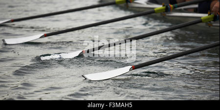 Canada,Racing,Ontario,Scull,Rowing,River Stock Photo
