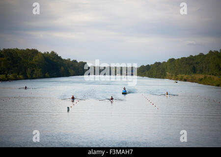 Canada,Ontario,River,Rowing,Racing,Scull Stock Photo