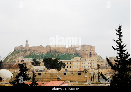 The Citadel of Aleppo - Syria Stock Photo