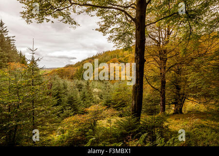 Devils Bridge, Wales, UK. 9th October, 2015. High cloud cover over the Cambrian mountains throughout today but remains dry and mild. forecast is much the same for the weekend. Credit:  Ian Jones/Alamy Live News Stock Photo