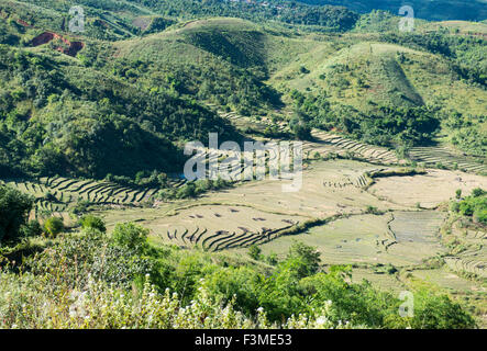 Agricultural landscape, Burma Stock Photo