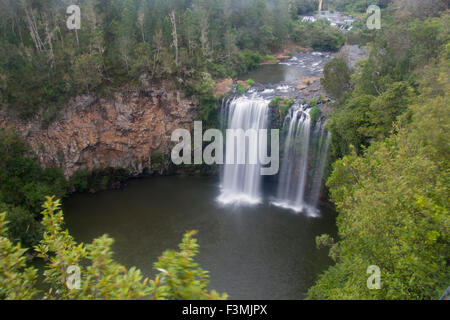 Dangar Falls waterfall in Dorrigo National Park New South Wales NSW Australia