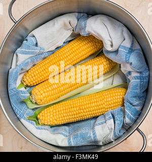 three cobs wrapped in a cloth inside a pot Stock Photo