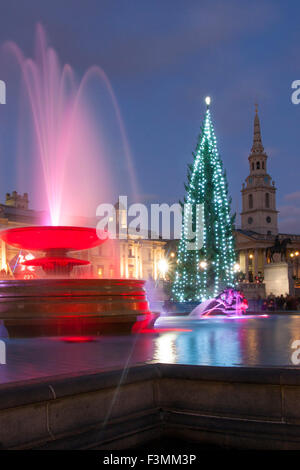 Trafalgar Square Christmas tree at night London England UK Stock Photo