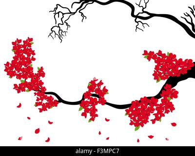 Blooming and dried Sakura branches (Japanese cherry tree) on the white background, hand drawing vector illustration Stock Vector