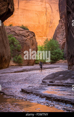 Man hiking in a beautiful canyon in the desert. Stock Photo