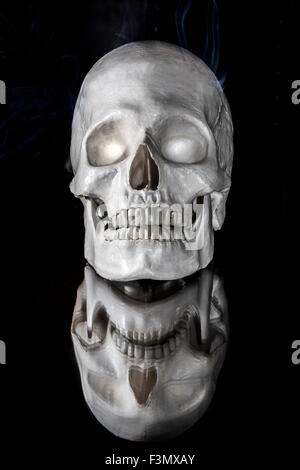 A display skull placed on glass for reflection. Stock Photo