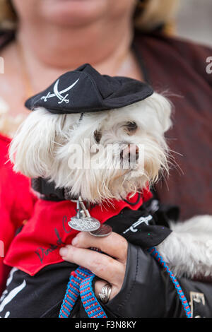 Tybee Island, Georgia, USA. 09th Oct, 2015. A costumed pirate puppy during the annual three-day Tybee Island Pirate Festival October 9, 2015 in Tybee Island, Georgia. Stock Photo