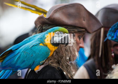 Tybee Island, Georgia, USA. 09th Oct, 2015. A costumed pirate and his Macaw parrot during the annual three-day Tybee Island Pirate Festival October 9, 2015 in Tybee Island, Georgia. Stock Photo