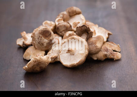 Lentinula edodes. Shiitake mushrooms on a wooden board. Stock Photo