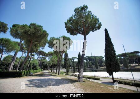 Rome, Italy. 16th July, 2015. View of the Villa Borghese garden in Rome, Italy, 16 July 2015. Photo: Fredrik von Erichsen/dpa - NO WIRE SERVICE -/dpa/Alamy Live News Stock Photo