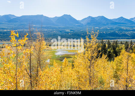 Columbia Valley wetlands, British Columbia, Canada Stock Photo