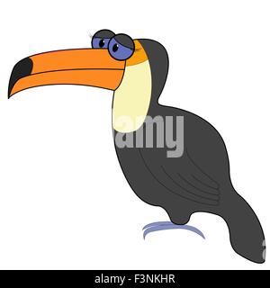 Toucan isolated on white background. Hand drawing cartoon toco vector illustration Stock Vector