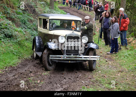 New Radnor, Powys, Wales - Saturday 10th October 2015 - The Vintage Sports Car Club ( VSSC ) hill climb trial challenge on The Smatcher a steep wooded hill just outside New Radnor. This Welsh Trial has been running since 1939. Competitors score points the further they drive up the steep hill with 25 points being awarded for reaching the top. The passenger act as 'bouncer' who bounces to help the car grip on the steep sections. Shown here is a 1930 Ford Model 'A' struggling on the muddy climb. Stock Photo