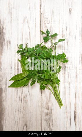 Parsley and bay laurel leaves on wooden background. Fresh organic herbs. Healthy food ingredients Stock Photo
