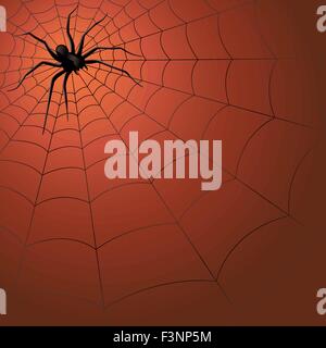 Big dark spider on the web, hand drawing Halloween vector illustration Stock Vector