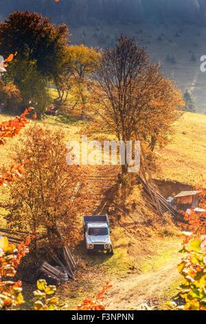 Colorful autumn landscape in the Carpathian mountains. Transylvania,Romania. Europe. Stock Photo
