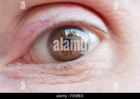 Macrophotograph of an adult man's eye, looking straight Stock Photo