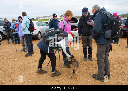 Isle of wight Walking Festival. 2015. people gathering at the start of the War Horse Walk in car park at Brook lady stroking a walkers dog Ramblers walkers Stock Photo