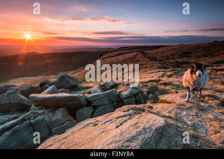 View of the sunset and sheet from the Pennine Way on Kinder Scout, the highest point in the Peak District, England. Stock Photo