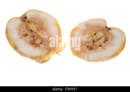 Two halves of a rotten pear isolated on white background Stock Photo