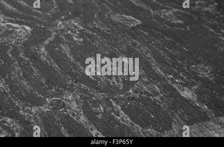 Background image abstract of weathered wood Stock Photo